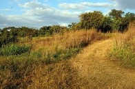 Justi&ccedil;a Federal reconhece como p&uacute;blica fazenda de 952 hectares avaliada em R$ 22 milh&otilde;es em Buritis