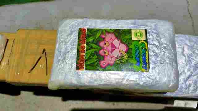 Opera&ccedil;&atilde;o apreende cerca de 50 kg de drogas na zona rural de Nova Mamor&eacute;