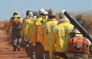 ICMBio abre processo seletivo para brigadistas ambientais em Rond&ocirc;nia
