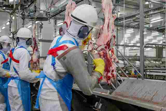 Plataforma do Governo de Rond&ocirc;nia tem 2.377 vagas abertas esta semana