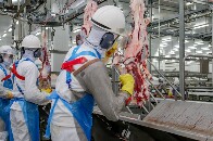 Plataforma do Governo de Rond&ocirc;nia tem 2.377 vagas abertas esta semana