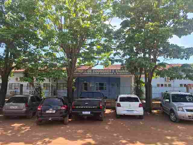 Com obras no Parque Circuito, vacina&ccedil;&atilde;o de animais &eacute; feita na Divis&atilde;o de Zoonoses
