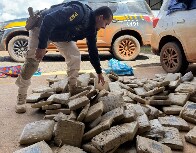 Casal &eacute; preso com 167,8 kg de skunk ap&oacute;s tentar evitar fiscaliza&ccedil;&atilde;o em Rond&ocirc;nia