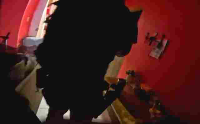 V&iacute;deo: opera&ccedil;&atilde;o Sepulcro mobiliza PF em Rond&ocirc;nia e Par&aacute; contra o tr&aacute;fico de drogas e cumpre 16 mandados