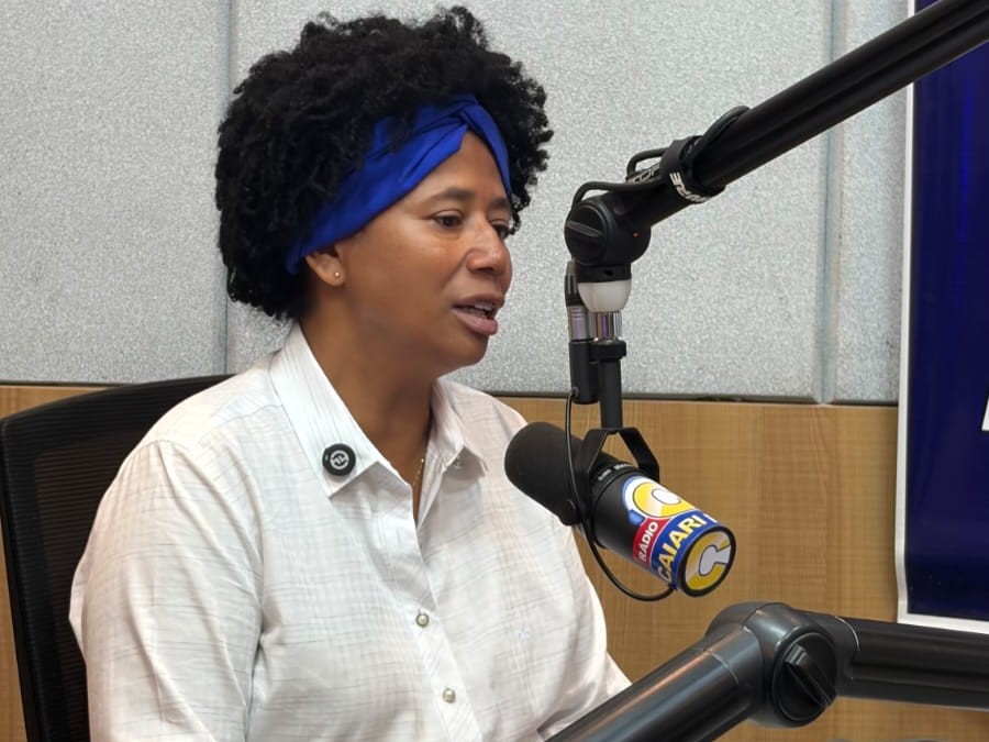 Silvia Cristina diz que os ataques v&ecirc;m de quem n&atilde;o tem trabalho para mostrar
