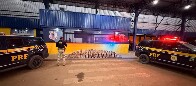 PRF apreende mais de 275 kg de drogas ap&oacute;s persegui&ccedil;&atilde;o em Vilhena