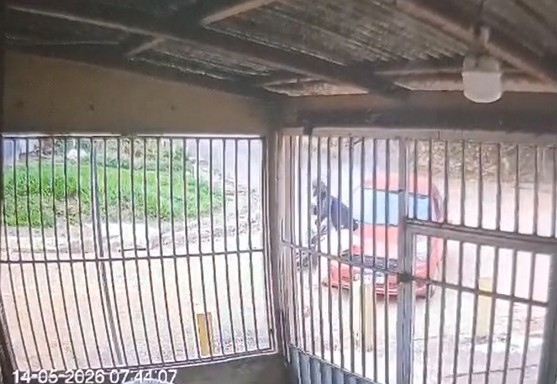 Motociclista sem habilita&ccedil;&atilde;o fica ferido ap&oacute;s batida entre moto e carro em Porto Velho