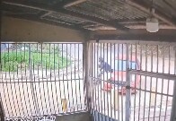 Motociclista sem habilita&ccedil;&atilde;o fica ferido ap&oacute;s batida entre moto e carro em Porto Velho
