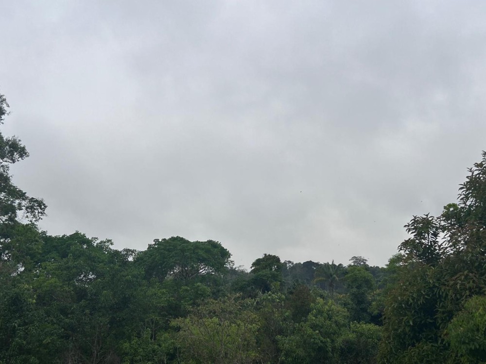 Massa de ar polar derruba temperaturas em Rondônia