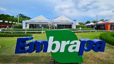 Rond&ocirc;nia Rural Show: Embrapa e parceiros promovem Agro Summit Amaz&ocirc;nia
