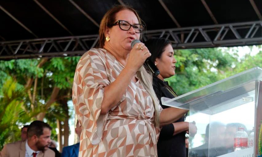 Grupo ligado a Ellis Regina vence primeira eleição online do Ipam
