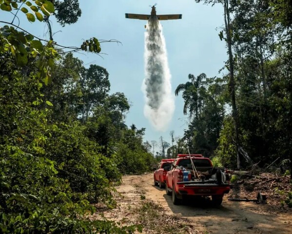 Rondônia conquista redução histórica do desmatamento