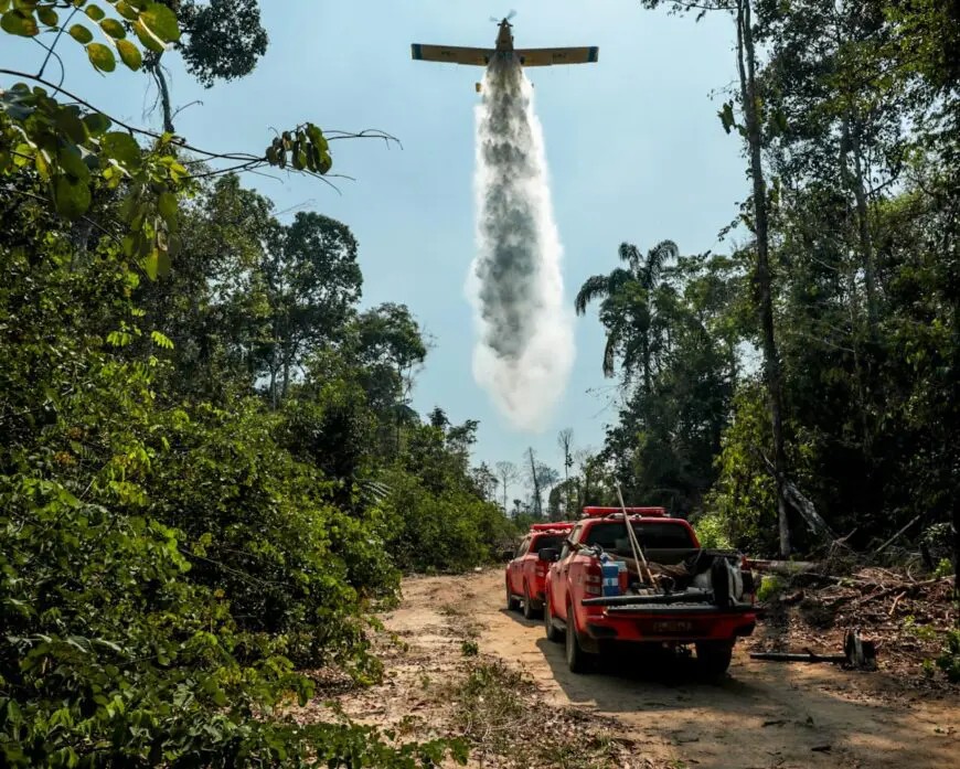 Rondônia conquista redução histórica do desmatamento