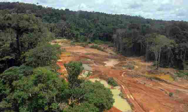STF determina que Uni&atilde;o elabore plano de retirada do garimpo ilegal de territ&oacute;rio Cinta Larga
