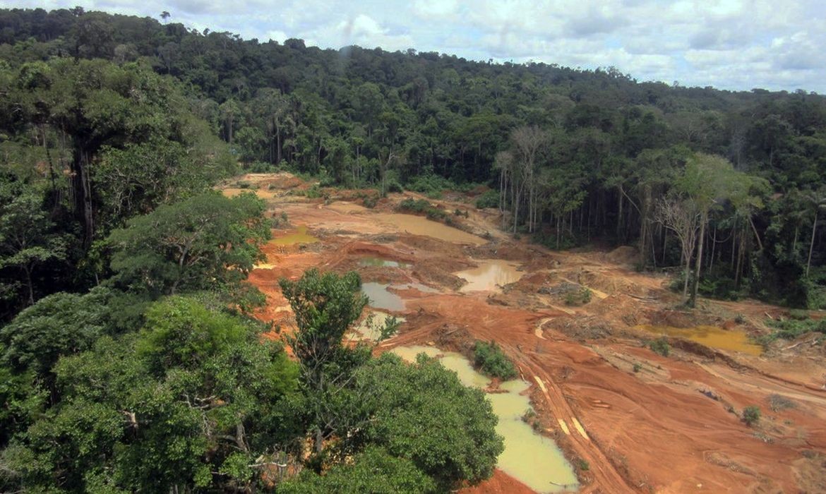 STF determina que União elabore plano de retirada do garimpo ilegal de território Cinta Larga