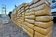PM apreende mais de 276 kg de drogas e prende quatro em Ji-Paran&aacute;