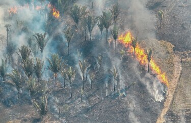 El Ni&ntilde;o aumenta risco de queimadas durante a estiagem em Porto Velho
