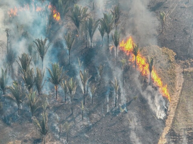 El Niño aumenta risco de queimadas durante a estiagem em Porto Velho