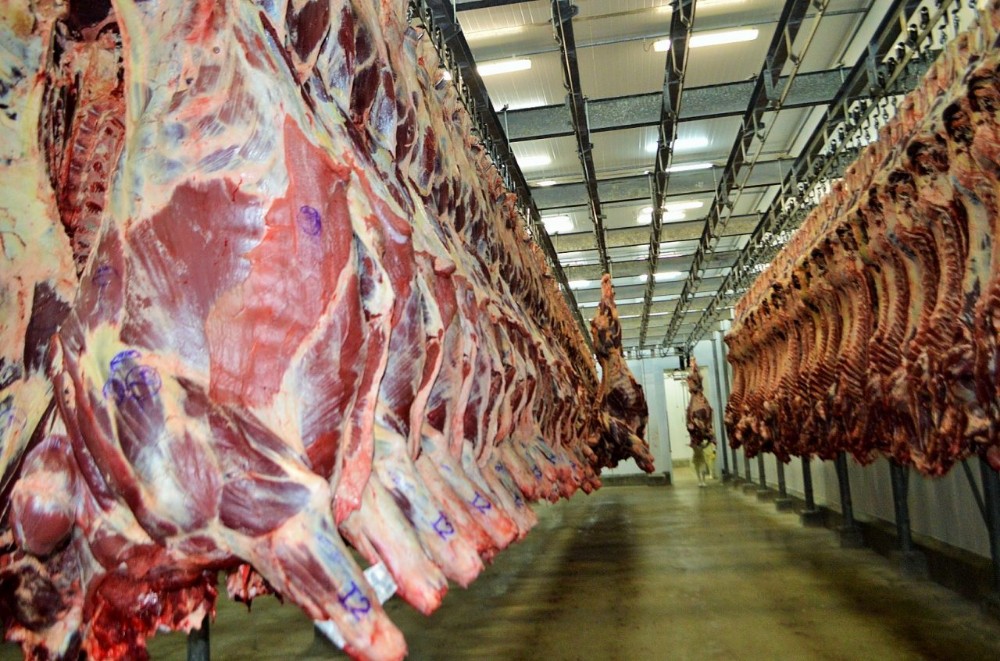 Carne bovina supera soja e lidera exporta&ccedil;&otilde;es de Rond&ocirc;nia em maio