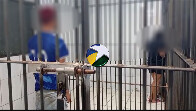 Adolescente com beb&ecirc; no colo &eacute; agredida pela ex-sogra na zona sul