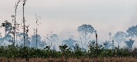 Ibama inicia opera&ccedil;&atilde;o para prevenir inc&ecirc;ndios florestais na Amaz&ocirc;nia