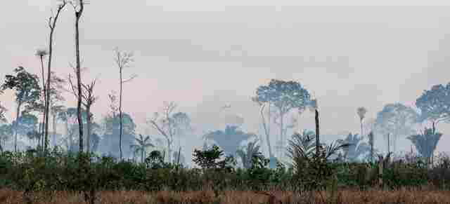 Ibama inicia opera&ccedil;&atilde;o para prevenir inc&ecirc;ndios florestais na Amaz&ocirc;nia