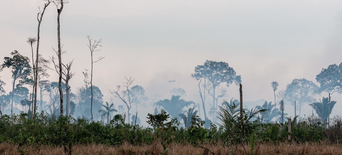 Ibama inicia opera&ccedil;&atilde;o para prevenir inc&ecirc;ndios florestais na Amaz&ocirc;nia