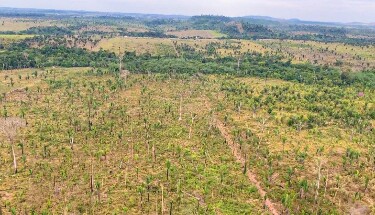 MPRO entra com A&ccedil;&atilde;o Civil P&uacute;blica por desmatamento de &aacute;rea equivalente a 1.780 campos de futebol