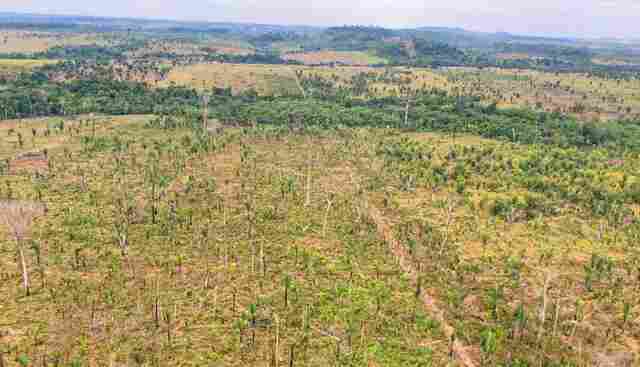 MPRO entra com A&ccedil;&atilde;o Civil P&uacute;blica por desmatamento de &aacute;rea equivalente a 1.780 campos de futebol