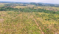 MPRO entra com A&ccedil;&atilde;o Civil P&uacute;blica por desmatamento de &aacute;rea equivalente a 1.780 campos de futebol