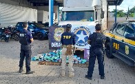 Opera&ccedil;&atilde;o conjunta do Denarc e Receita Federal prende dois e apreende v&aacute;rios tipos de drogas em distribuidora