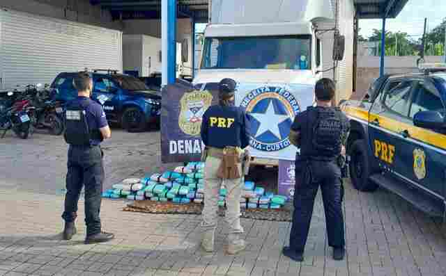 Opera&ccedil;&atilde;o conjunta do Denarc e Receita Federal prende dois e apreende v&aacute;rios tipos de drogas em distribuidora