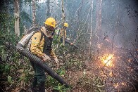 Inscri&ccedil;&otilde;es para contrata&ccedil;&atilde;o de 270 brigadistas para o Corpo de Bombeiros terminam nesta ter&ccedil;a-feira