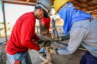 Plataforma tem 2.398 vagas de emprego em Rond&ocirc;nia