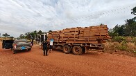 Opera&ccedil;&atilde;o Acesso Facilitado investiga explora&ccedil;&atilde;o ilegal de madeira e min&eacute;rios em Rond&ocirc;nia