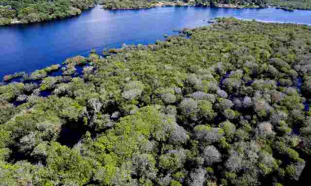 Alertas de desmatamento na Amaz&ocirc;nia caem 35% em junho