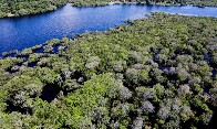 Alertas de desmatamento na Amaz&ocirc;nia caem 35% em junho
