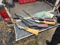 Opera&ccedil;&atilde;o Cap&atilde;o da On&ccedil;a investiga venda irregular de lotes e crimes ambientais em Rond&ocirc;nia
