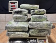 PF prende mulher com 13 kg de skunk no aeroporto de Porto Velho