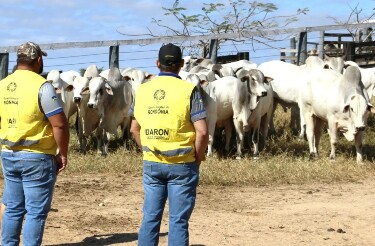 Governo retira R$ 11,8 milh&otilde;es do Fundo de Defesa Sanit&aacute;ria Animal, n&atilde;o devolve recursos e preocupa setor produtivo