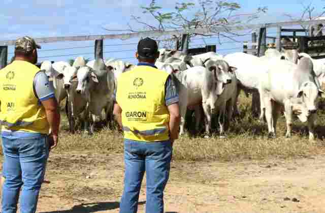 Governo retira R$ 11,8 milh&otilde;es do Fundo de Defesa Sanit&aacute;ria Animal, n&atilde;o devolve recursos e preocupa setor produtivo