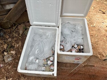 Opera&ccedil;&atilde;o apreende 400 frascos de vacina veterin&aacute;ria clandestina em Guajar&aacute;-Mirim