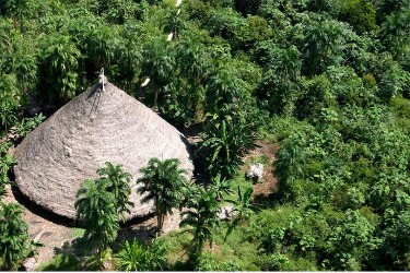 MPF cobra R$ 1 milh&atilde;o do Banco do Brasil por financiamento em &aacute;rea ind&iacute;gena protegida em Rond&ocirc;nia