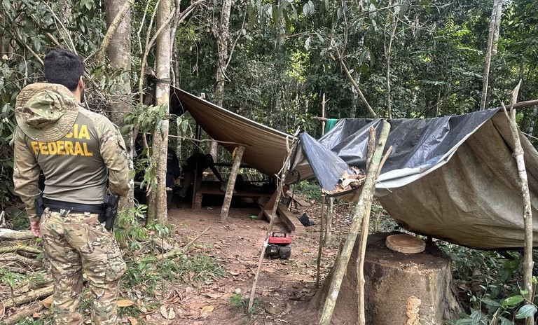 Duas serrarias móveis são encontradas em área de exploração ilegal dentro de terra indígena