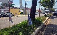 Justi&ccedil;a Eleitoral notifica campanhas sobre proibi&ccedil;&atilde;o de bandeiras em canteiros e carros de som em "pit stops"