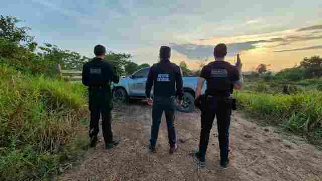 Opera&ccedil;&atilde;o mira fraude com gado entre Rond&ocirc;nia e Mato Grosso que supera R$ 30 milh&otilde;es