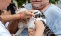 Dia D do "Setembro Caramelo" imuniza mais de 30 mil animais em Porto Velho
