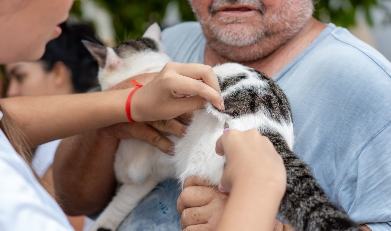 Dia D do "Setembro Caramelo" imuniza mais de 30 mil animais em Porto Velho
