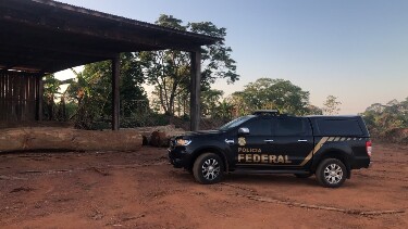 PF investiga uso de empresas e cr&eacute;ditos florestais para "legalizar" madeira retirada ilegalmente