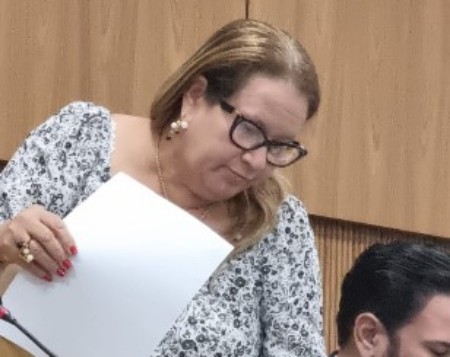 Vereadora Ellis Regina cobra refor&ccedil;o na ilumina&ccedil;&atilde;o de Porto Velho